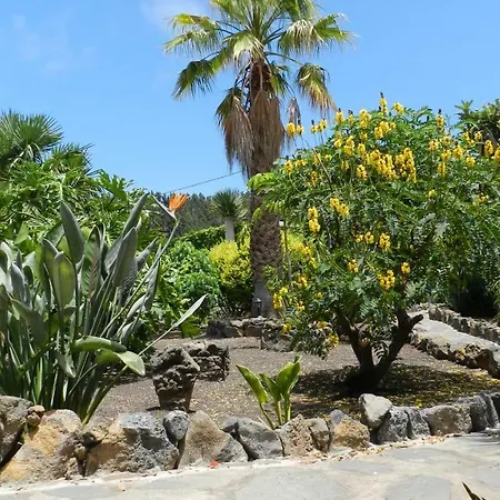 Finca Naturista Las Breveritas - Solo Adultos Сasa de vacaciones Icod De Los Vinos